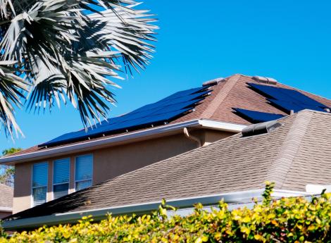 solar panels on house with palm tree